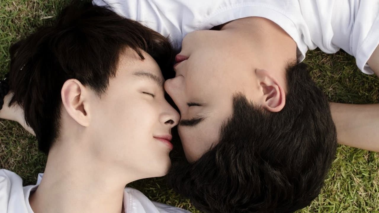 Amor por Acaso — imagem