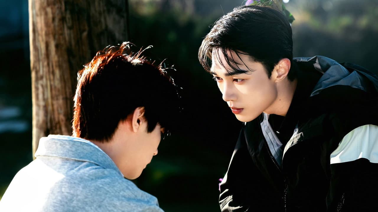 The Gaze — imagem