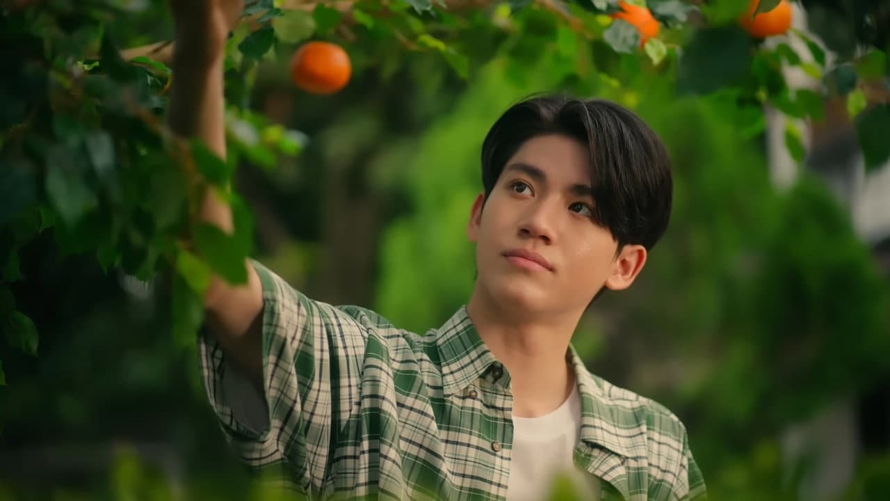 When Oranges Fall — imagem